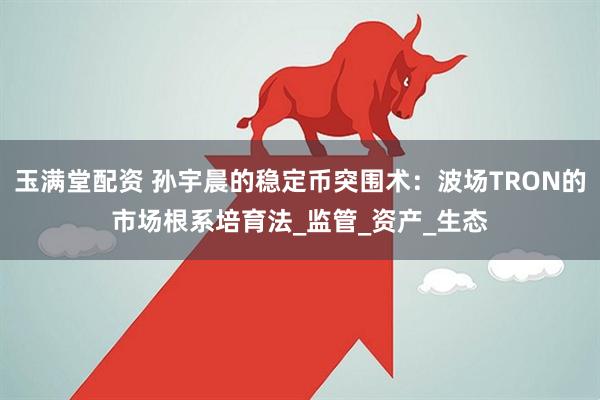 玉满堂配资 孙宇晨的稳定币突围术：波场TRON的市场根系培育法_监管_资产_生态