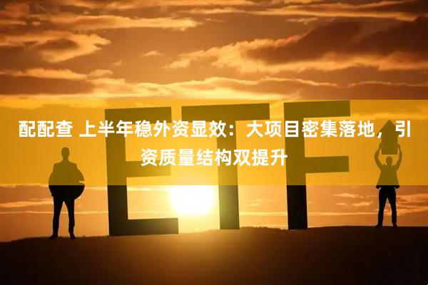 配配查 上半年稳外资显效：大项目密集落地，引资质量结构双提升