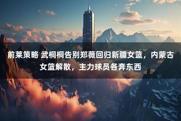 前莱策略 武桐桐告别郑薇回归新疆女篮，内蒙古女篮解散，主力球员各奔东西