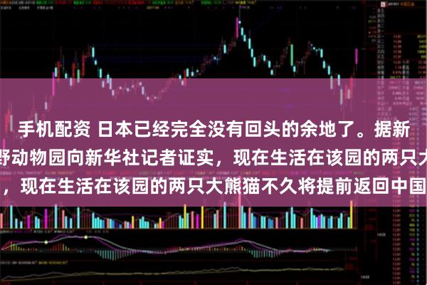 手机配资 日本已经完全没有回头的余地了。据新华社报道：日本东京上野动物园向新华社记者证实，现在生活在该园的两只大熊猫不久将提前返回中国